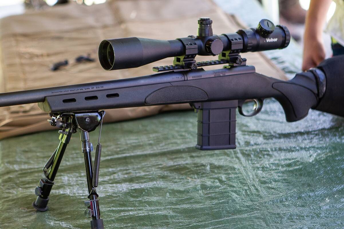 Vyriausybė – už paskatas ginklą perkantiems šauliams, bet...