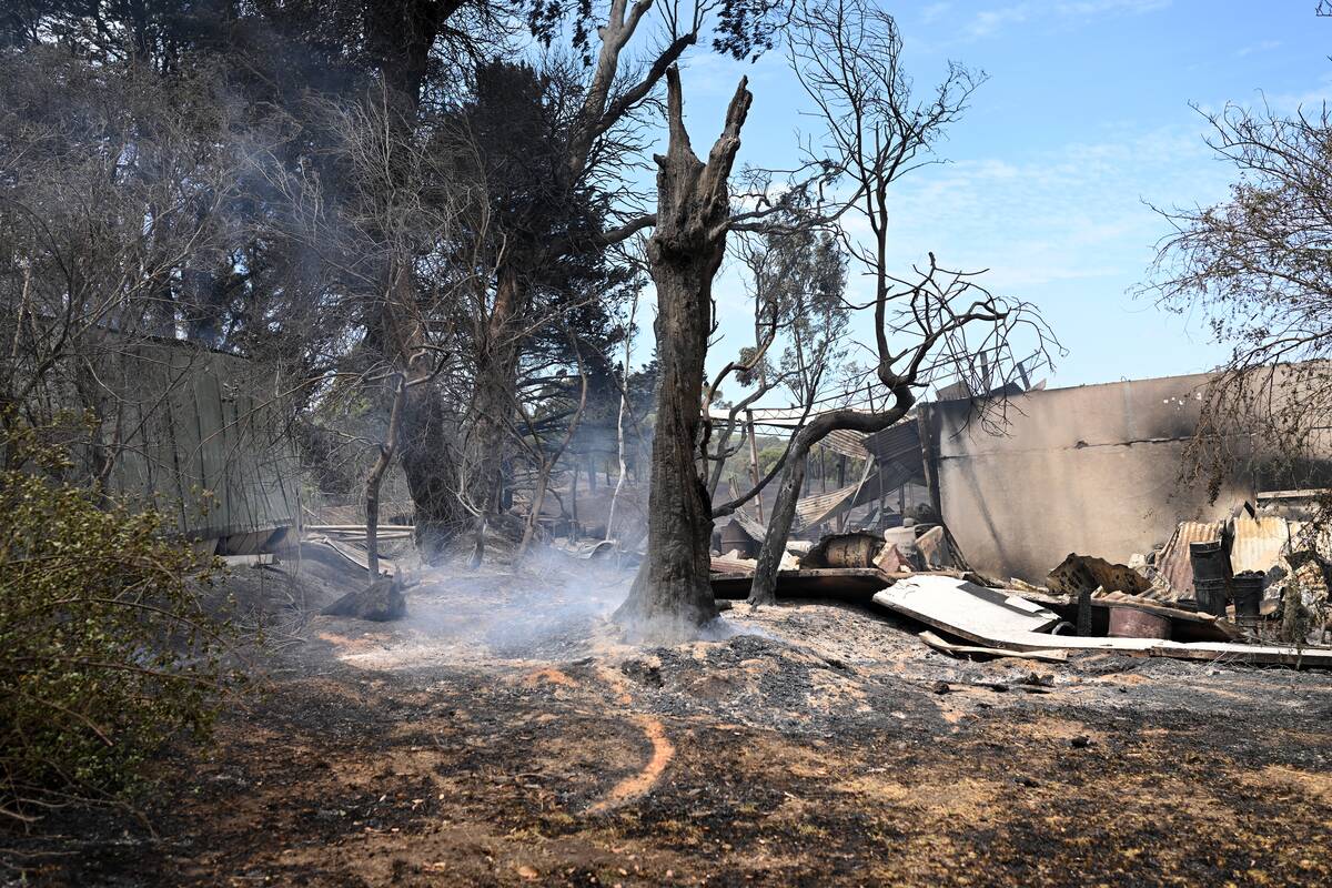 Australija kovoja su didžiuliais miškų gaisrais