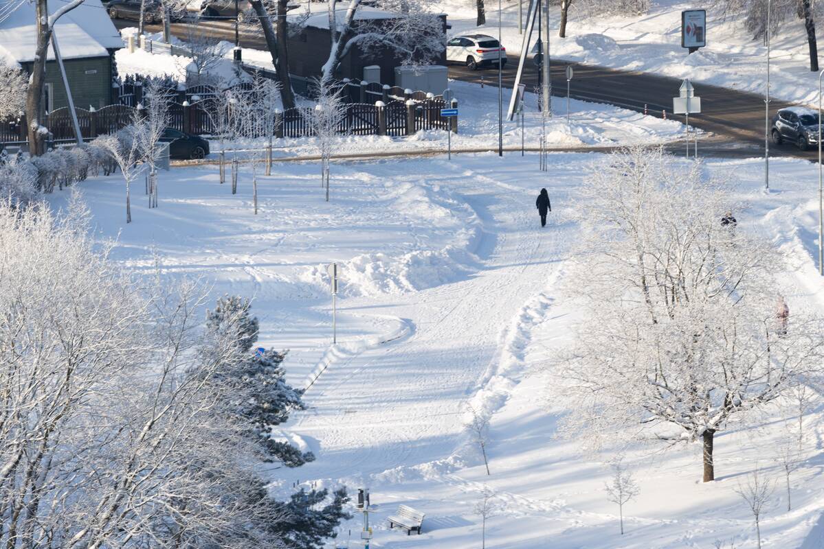 Sinoptikė pasakė, kada atšils
