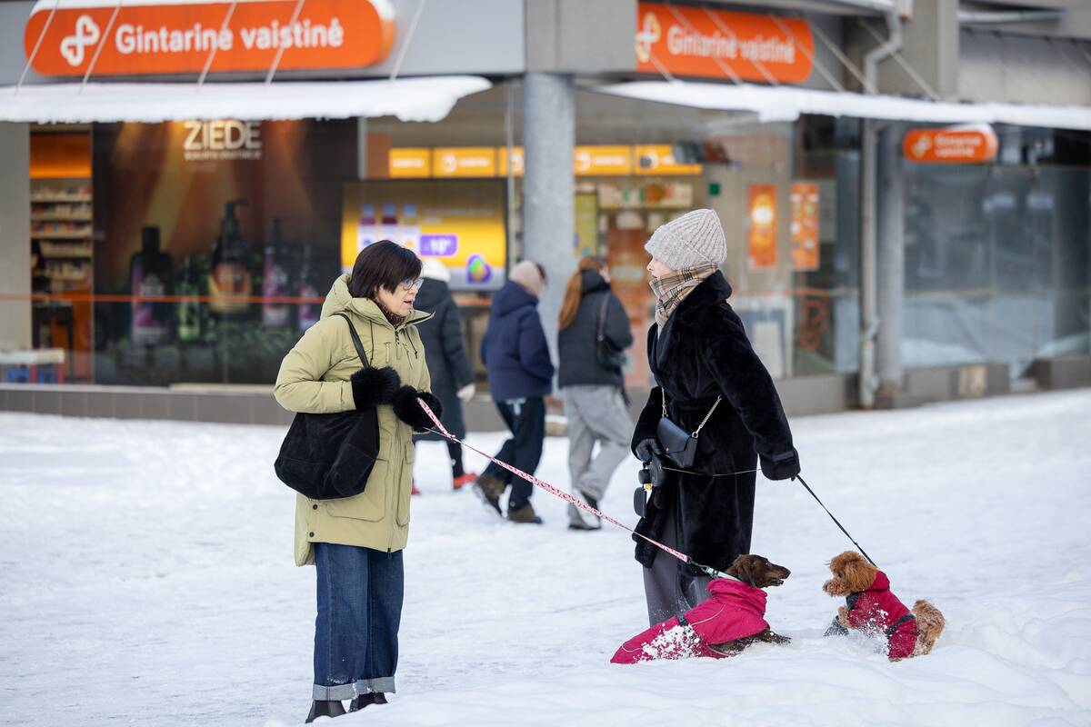 Kauniečių diena (2026-01-10)