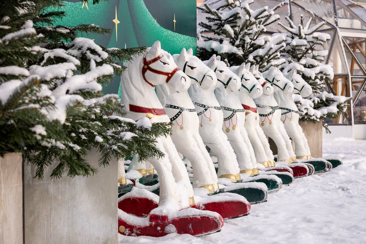 Kaune nupuošiama Kalėdų eglė