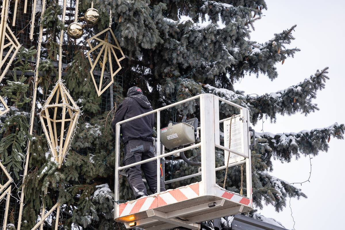 Kaune nupuošiama Kalėdų eglė