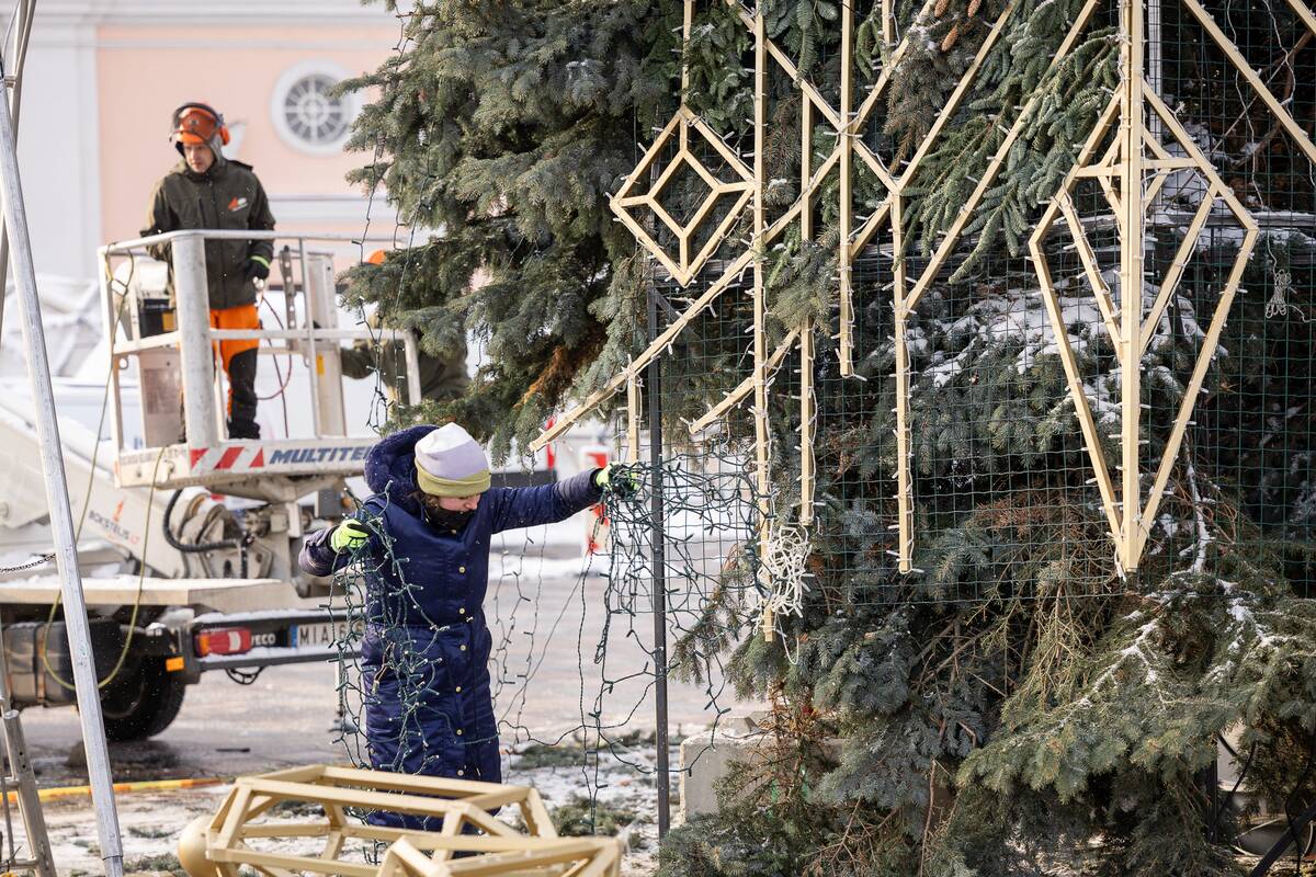 Kaune nupuošiama Kalėdų eglė