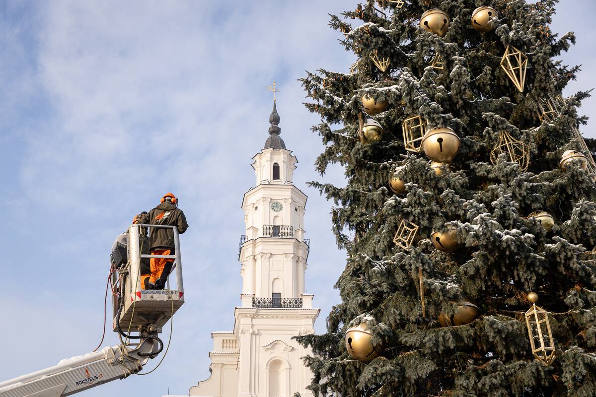 Kaune nupuošiama Kalėdų eglė