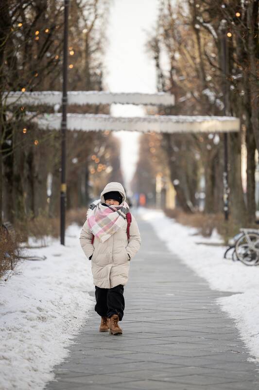 Kauniečių diena (2026-01-19)