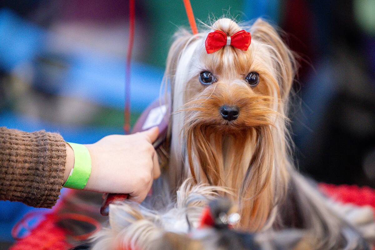 Dienos horoskopas 12 Zodiako ženklų (sausio 28 d.)