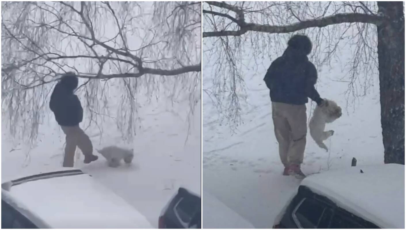 Užfiksavo spardomą šuniuką: sunku suprasti