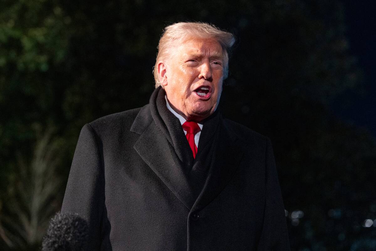 Trumpas apie ginčą dėl Grenlandijos: kažką sugalvosime