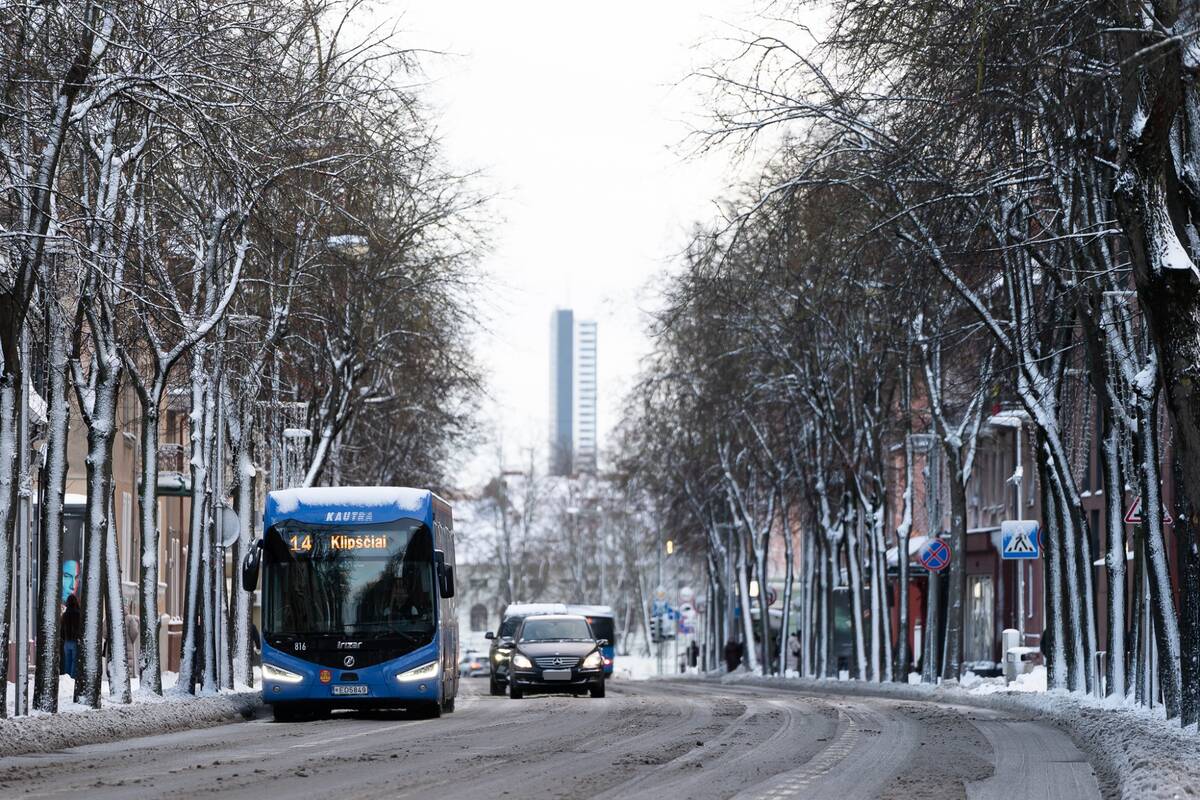 
<span>Klaipėdiečiai vėlavo į darbą: dėl šalčio dalis autobusų taip ir neatvažiavo </span>
