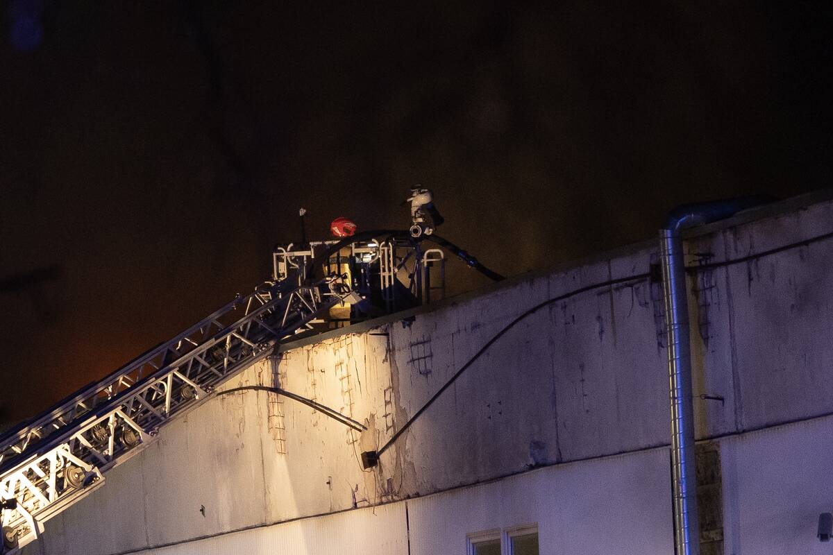 Gaisras Eišiškių plente