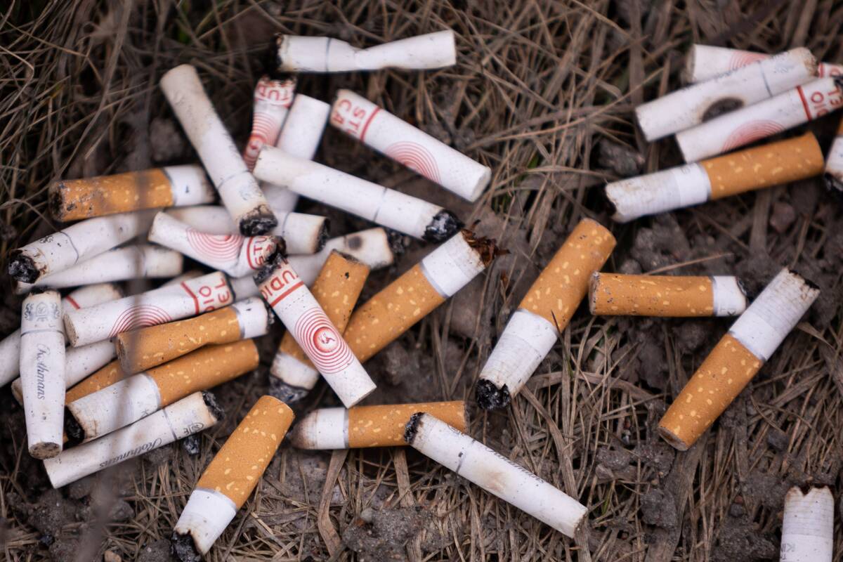 Kontrabandinės cigaretės