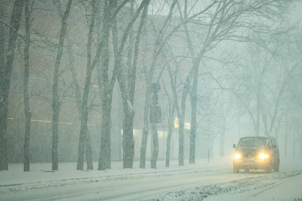 
<span>Sinoptikai perspėjo apie pūgą šioje šalies dalyje: likite namuose</span>
