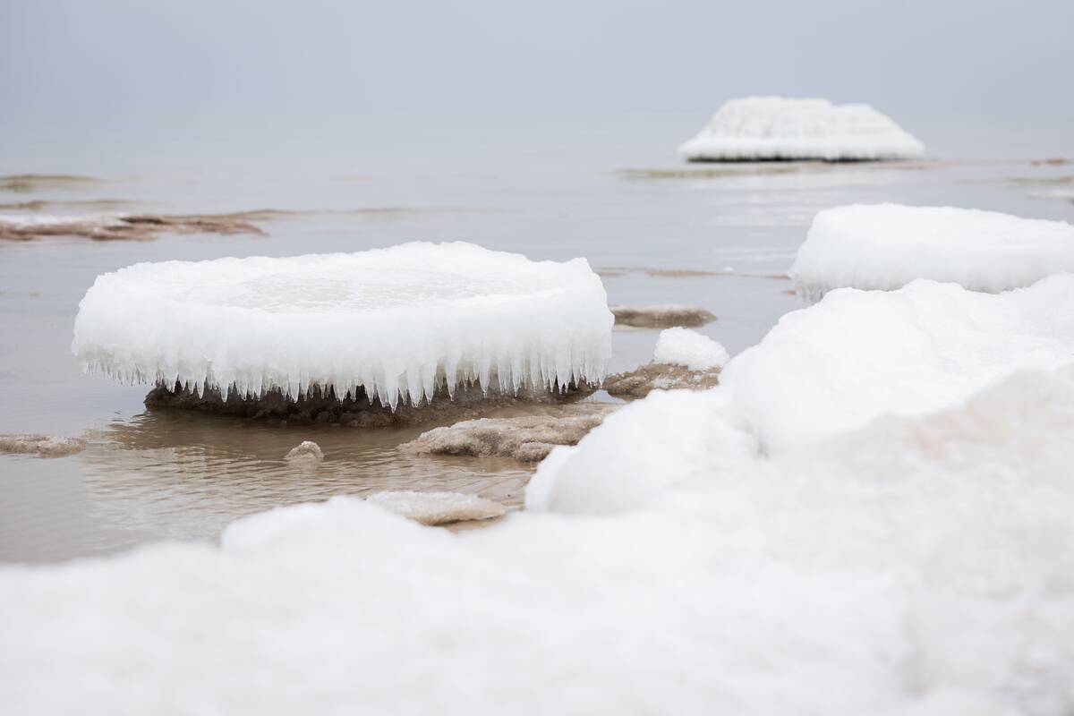 
<span>Po neregėtų šalčių – skeptiški pasvarstymai: kur dingo klimato atšilimas?</span>
