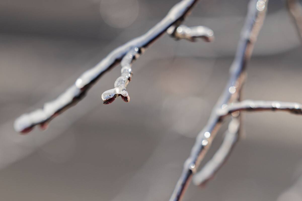 
<span>Sinoptikas atsakė, kada sulauksime pavasario</span>
