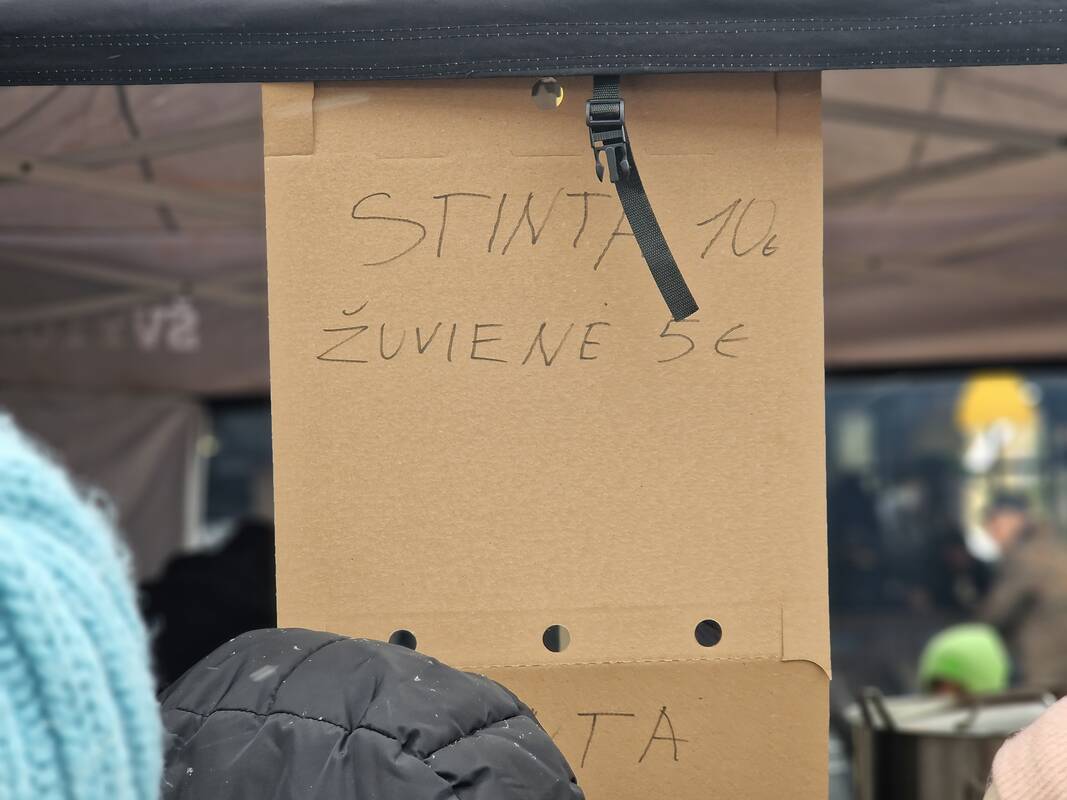 „Palangos Stinta 2026“