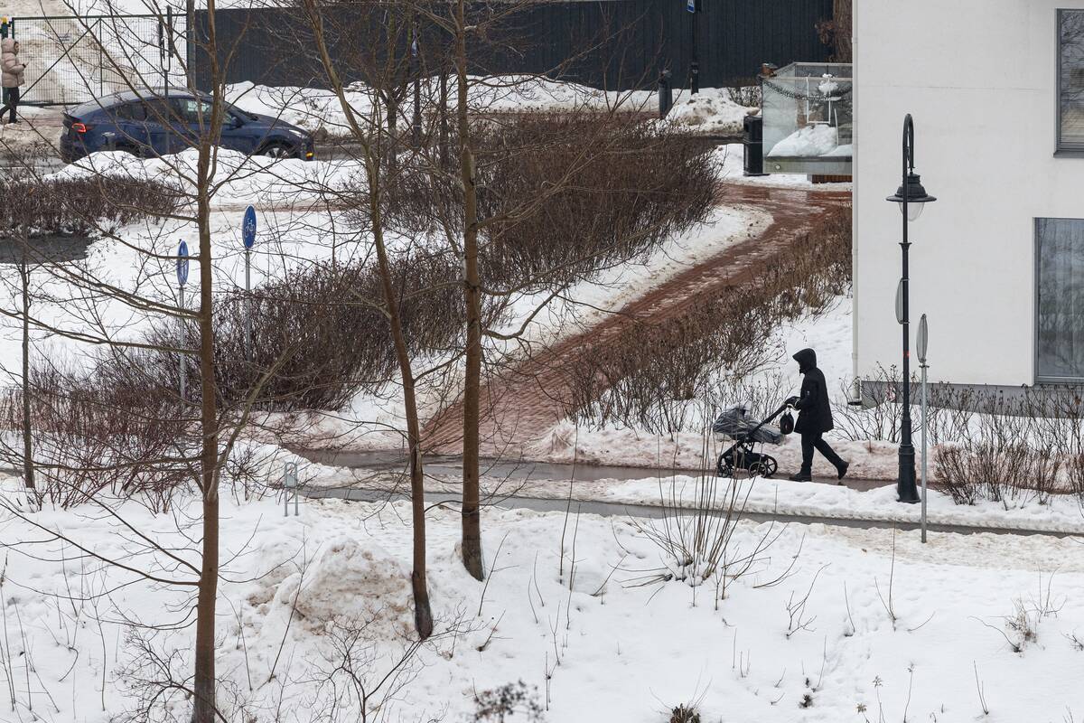 Vilniaus gatvės pasidengė ledu