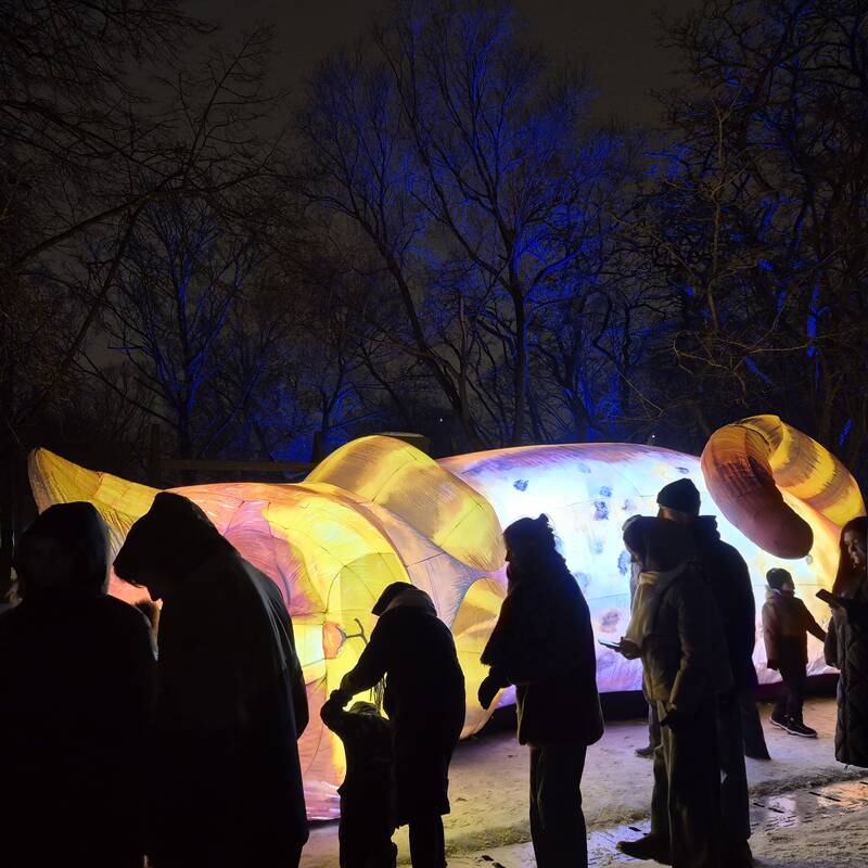 Klaipėdos Šviesų festivalis