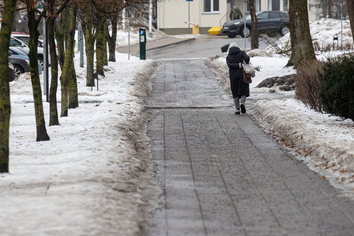 Vilniuje tirpsta sniegas
