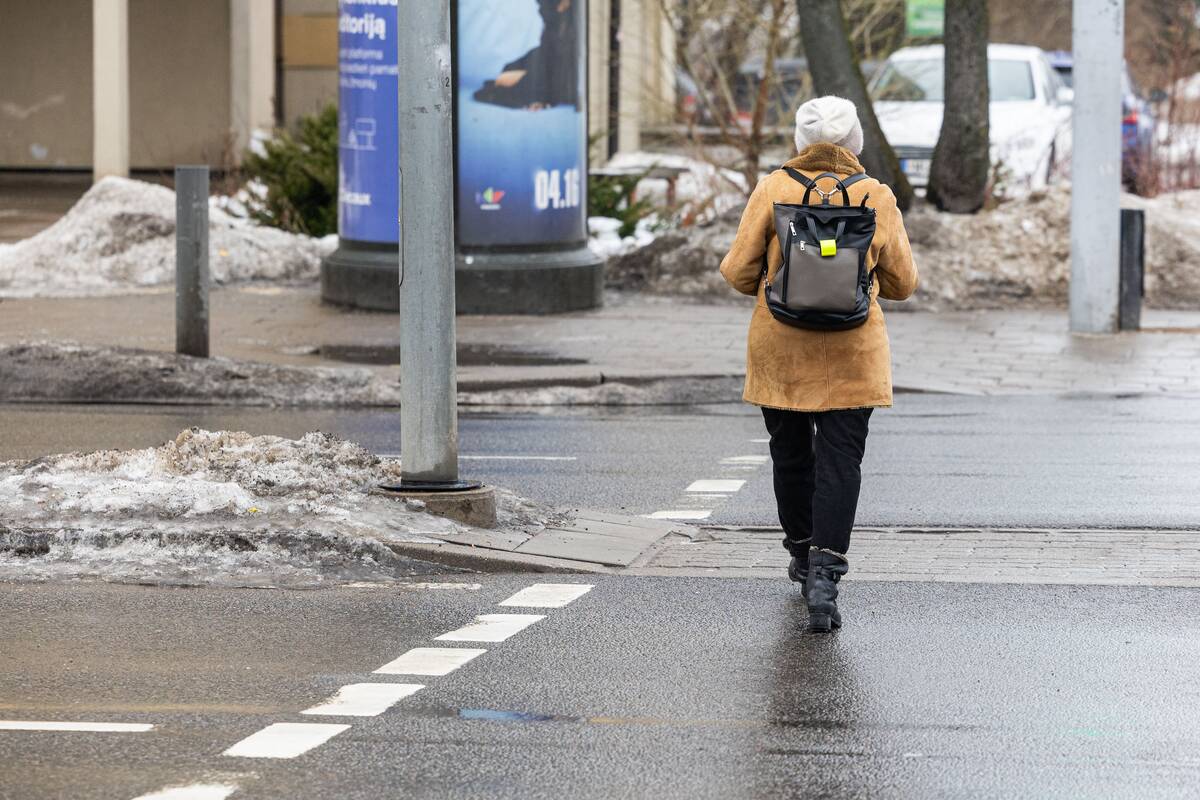Vilniuje tirpsta sniegas
