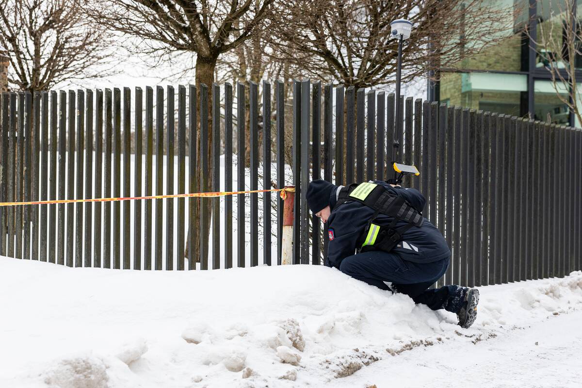 Statybų inspekcijos patikrinimas Gitano Nausėdos sklype