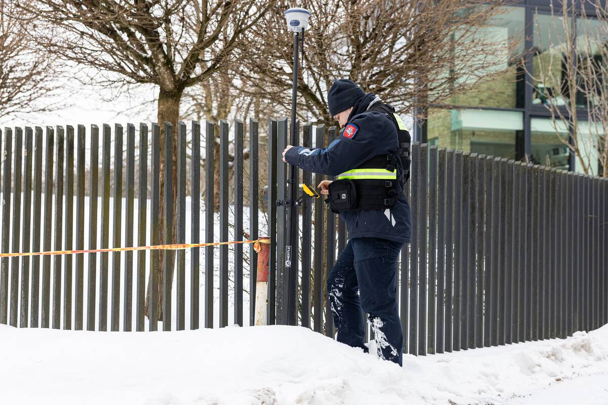 Statybų inspekcijos patikrinimas Gitano Nausėdos sklype