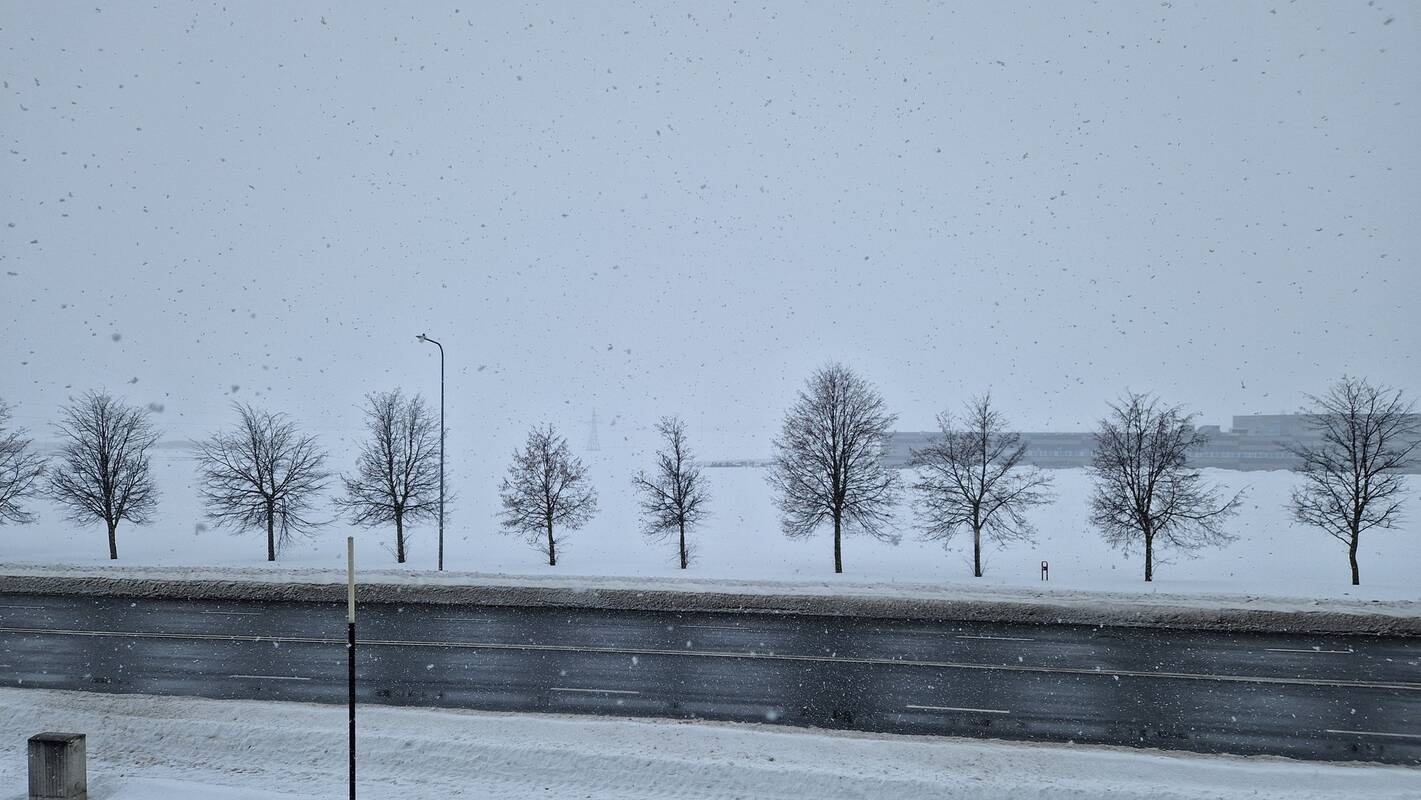 
<span>Artimiausių orų prognozė: sniego ir kritulių – nedaug, bet plikledis</span>
