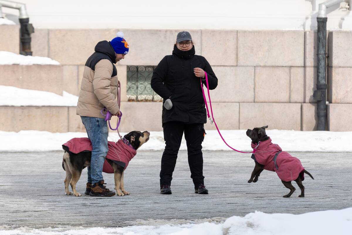 Kauniečių diena (2026-02-21)