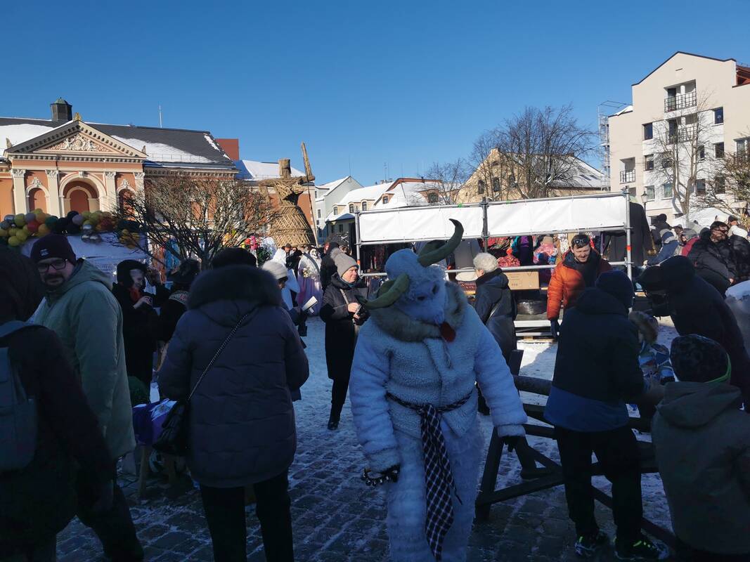 Užgavėnės Klaipėdoje jau įsibėgėjo