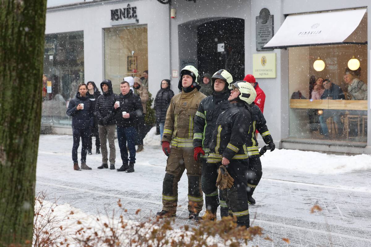 Laisvės alėjoje – pelėdžiukės gelbėjimo operacija