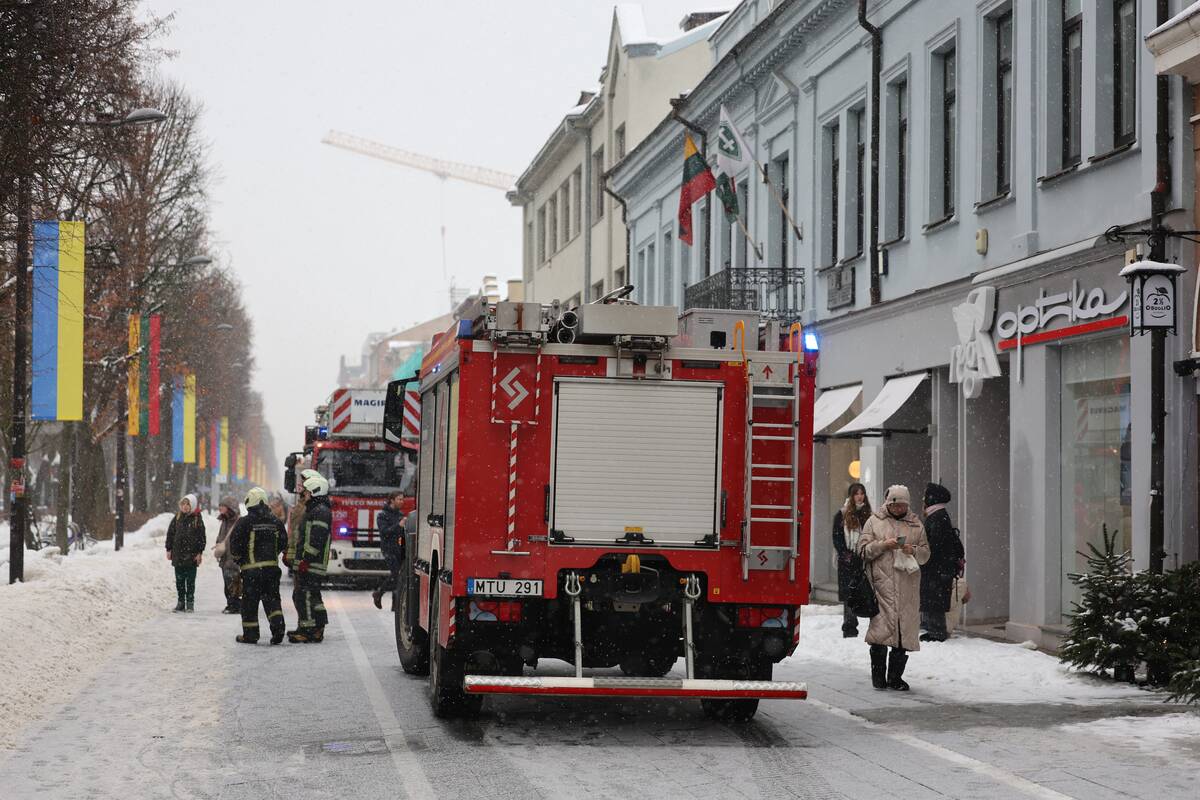 Laisvės alėjoje – pelėdžiukės gelbėjimo operacija