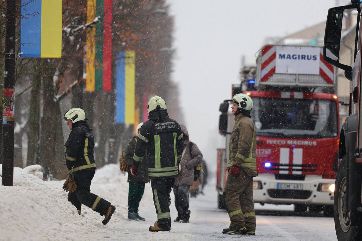 Laisvės alėjoje – pelėdžiukės gelbėjimo operacija