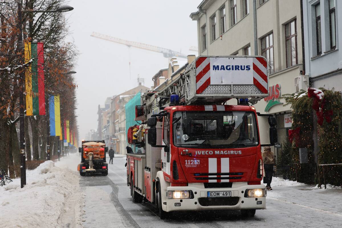 Laisvės alėjoje – pelėdžiukės gelbėjimo operacija