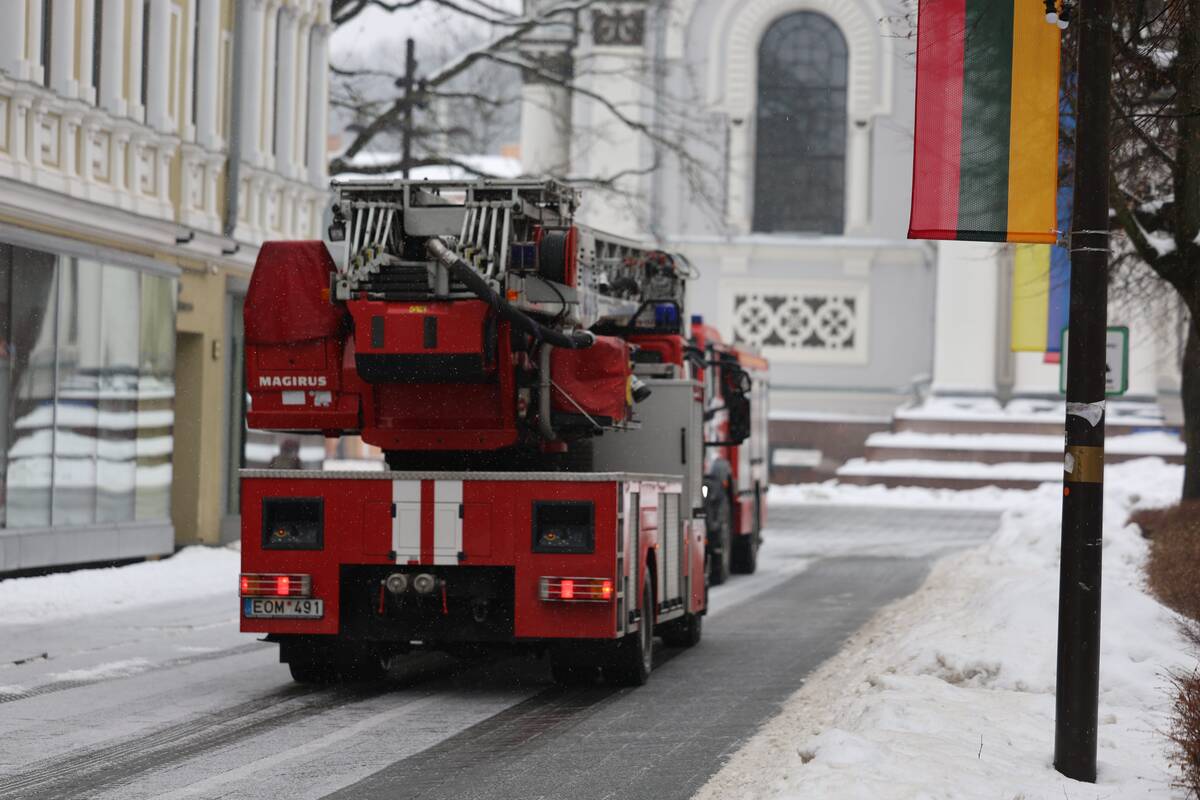 Laisvės alėjoje – pelėdžiukės gelbėjimo operacija