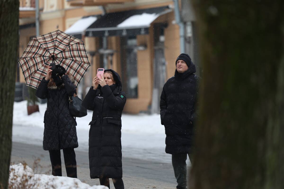 Laisvės alėjoje – pelėdžiukės gelbėjimo operacija
