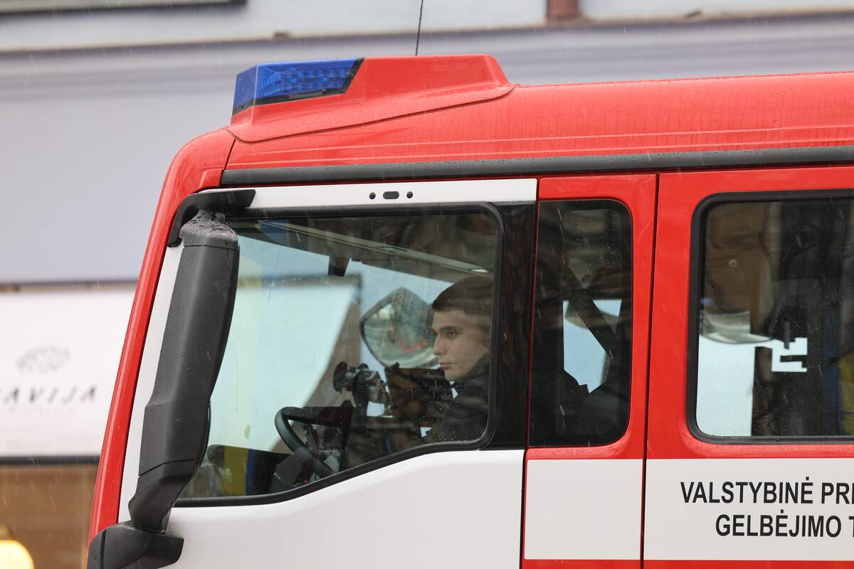 Laisvės alėjoje – pelėdžiukės gelbėjimo operacija