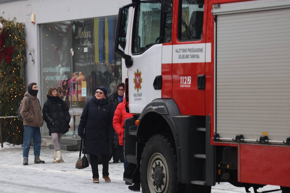 Laisvės alėjoje – pelėdžiukės gelbėjimo operacija