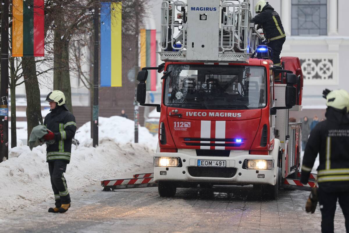 Laisvės alėjoje – pelėdžiukės gelbėjimo operacija