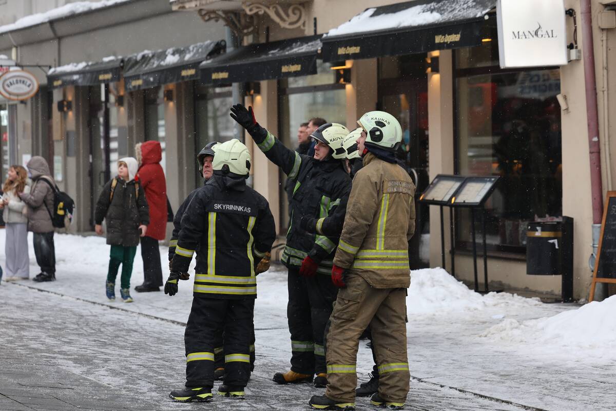 Laisvės alėjoje – pelėdžiukės gelbėjimo operacija