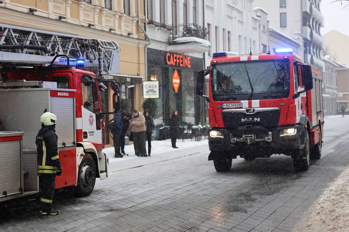 Laisvės alėjoje – pelėdžiukės gelbėjimo operacija