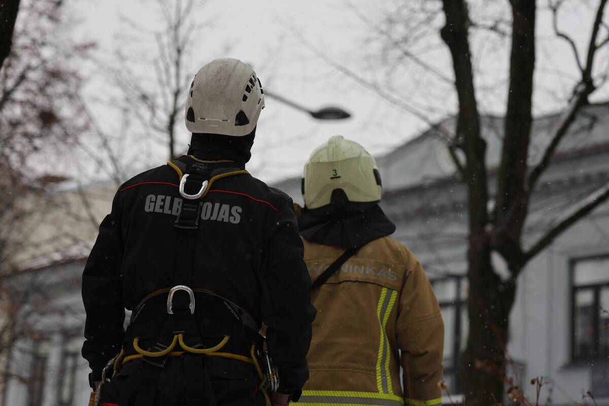 Laisvės alėjoje – pelėdžiukės gelbėjimo operacija