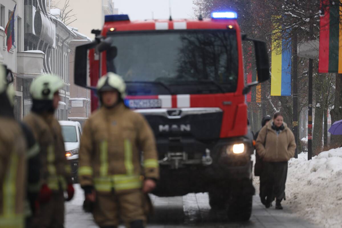 Laisvės alėjoje – pelėdžiukės gelbėjimo operacija