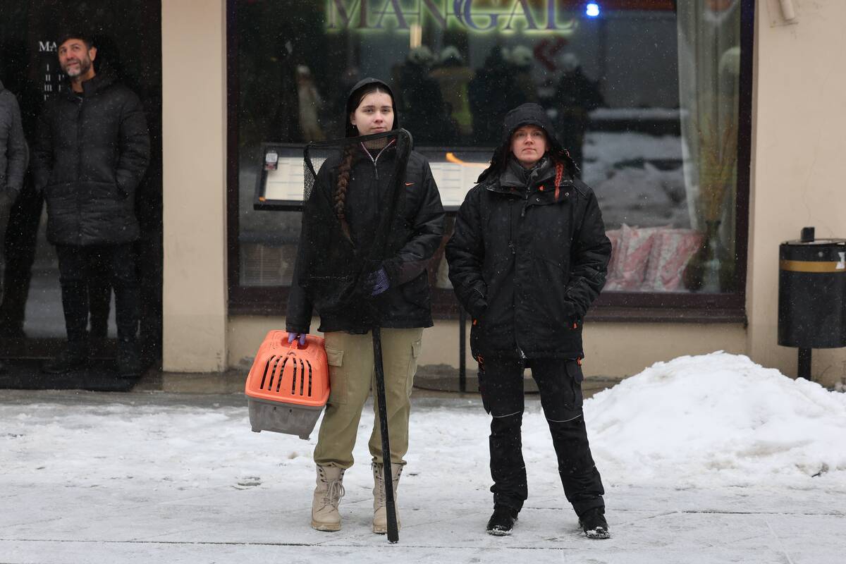 Laisvės alėjoje – pelėdžiukės gelbėjimo operacija