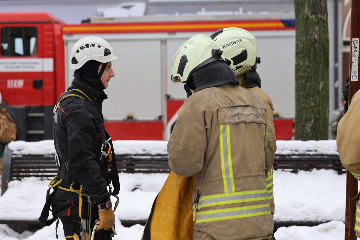 Laisvės alėjoje – pelėdžiukės gelbėjimo operacija