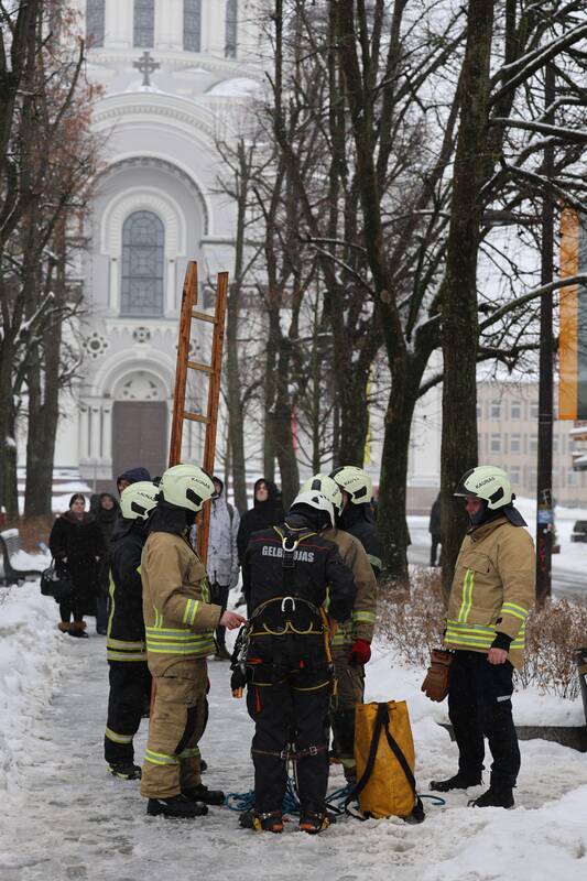 Laisvės alėjoje – pelėdžiukės gelbėjimo operacija