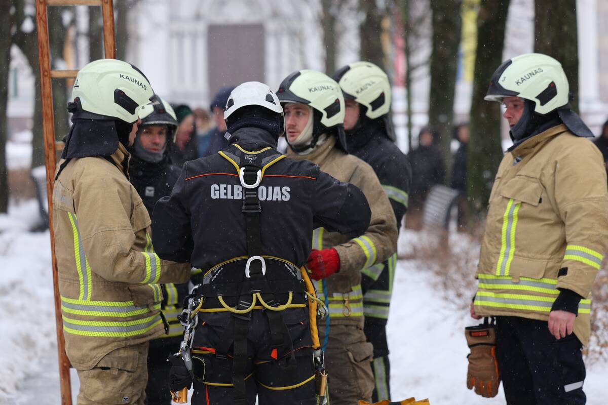 Laisvės alėjoje – pelėdžiukės gelbėjimo operacija