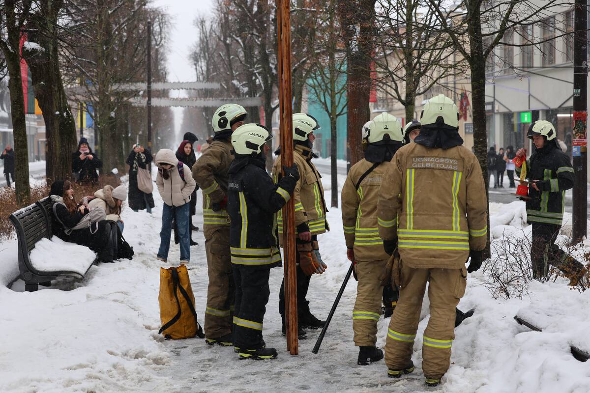 Laisvės alėjoje – pelėdžiukės gelbėjimo operacija
