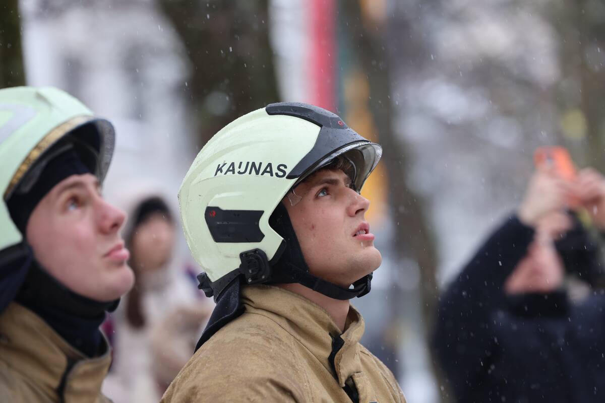 Laisvės alėjoje – pelėdžiukės gelbėjimo operacija