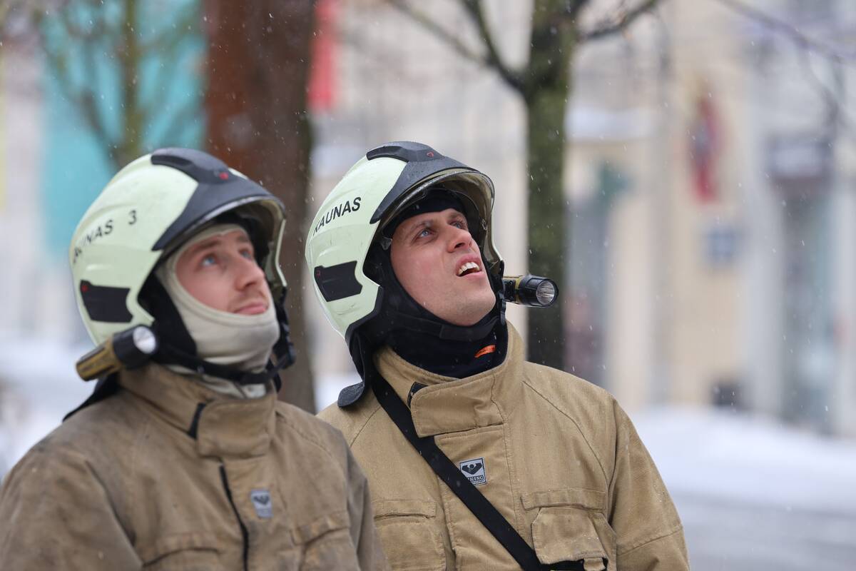 Laisvės alėjoje – pelėdžiukės gelbėjimo operacija