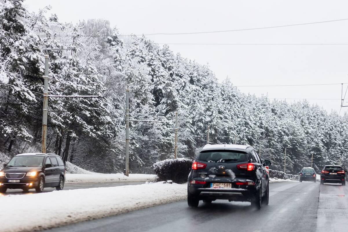 
<span>„Autotyrimai“: šių lengvųjų automobilių rinka traukėsi</span>
