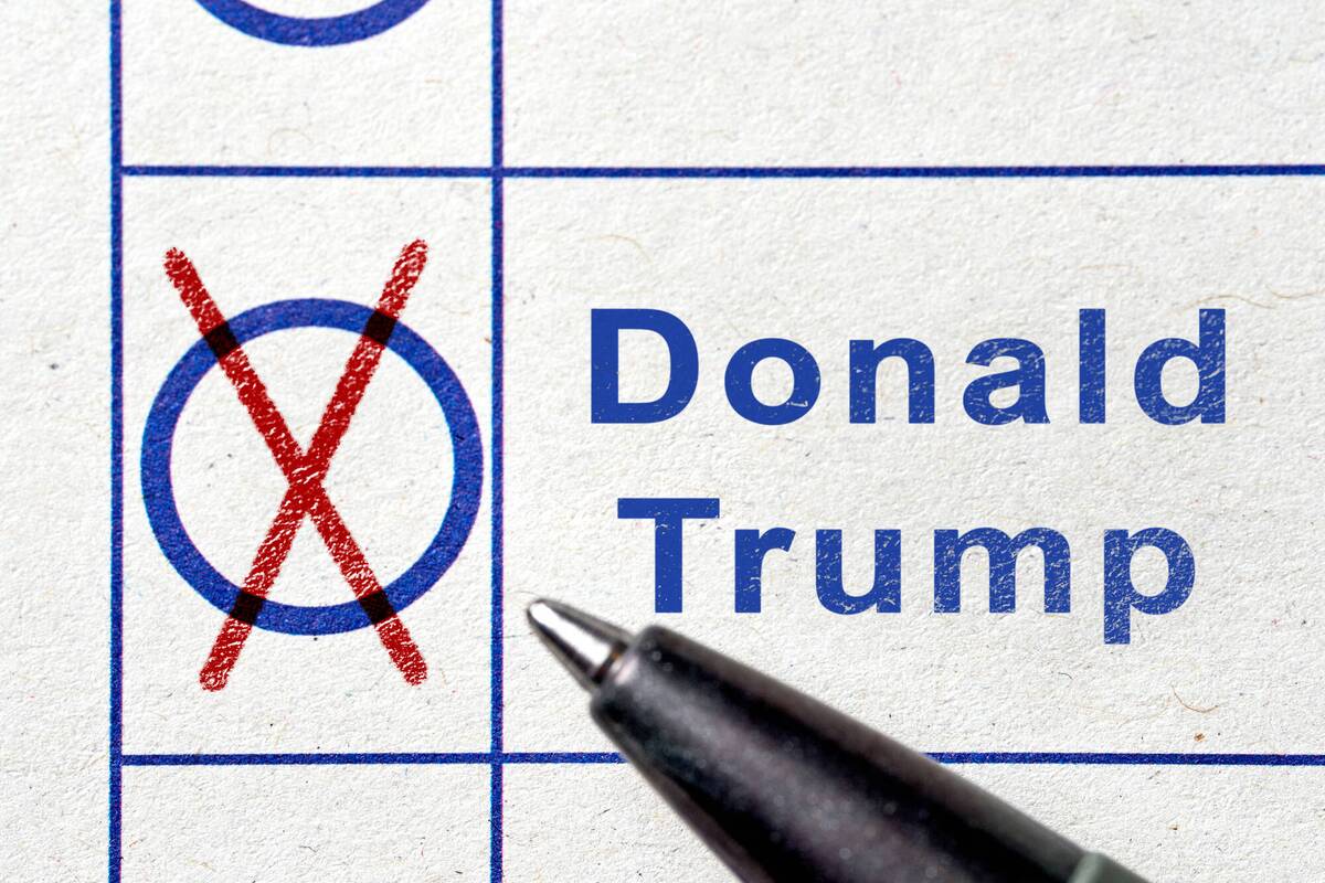 
<span>Trumpas paragino respublikonus „nacionalizuoti“ ateinančius rinkimus</span>
